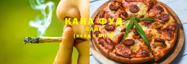 мдпв Каменка