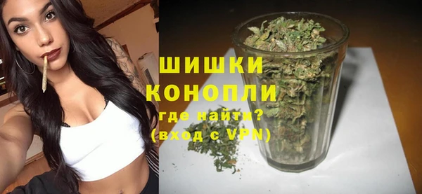 гидра Каменск-Шахтинский