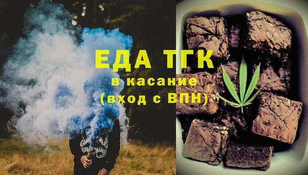 мдпв Каменка