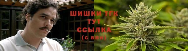 гидра Каменск-Шахтинский