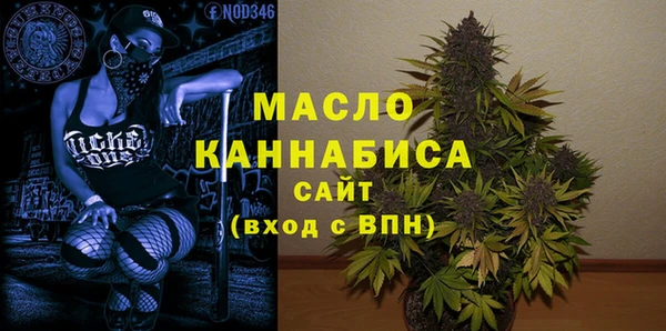 мдпв Каменка