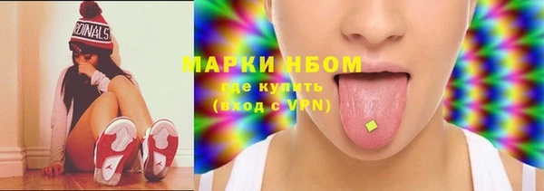 мдпв Каменка