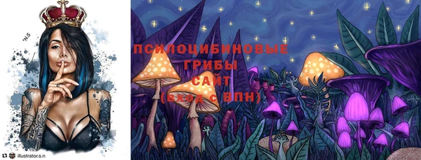 амфетамин Каменногорск