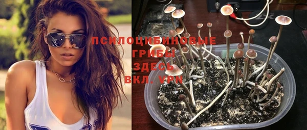 мдпв Каменка