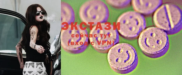 мдпв Каменка