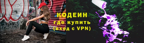 мдпв Каменка