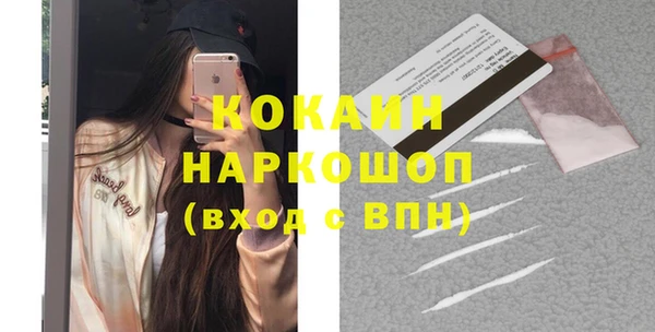 мдпв Каменка